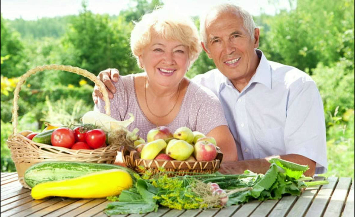 Estratégias para garantir uma nutrição adequada para os idosos da sua vida